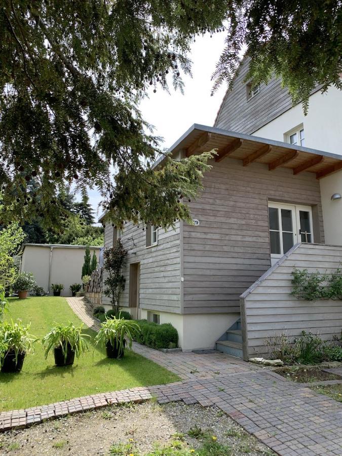 Idyllische Fewo Belling Spa - Eigene Sauna Und E-Ladesaeule Dresden Exteriör bild